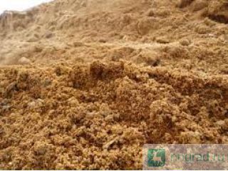 �������� �����. �����, ���������, ����� ������, �����, �������� ������, ���������� ������ ��������