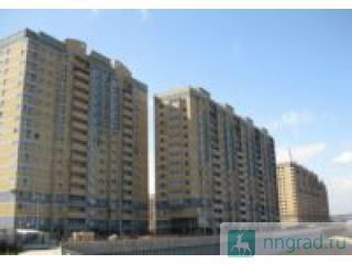 ����: 2-� ����. ��������, �� �������� ���� (������)����� ���, 5/17��. ����. ���������� ������ ��������