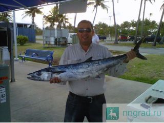   , , fishing Miami    