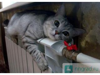 ������ ������ ��������� ������� ������, �������.  � .��������.