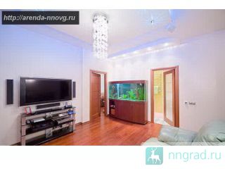 ���� 1�. ��-�� ��. ����������. ����� ���� ������� ������ ��������