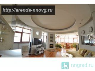 ���� ������� ��������. 300������. ������ ��� ������ ��������