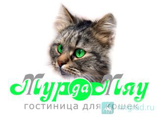     -- -     .  