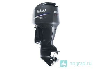 ������ �������� ����� Yamaha F250 ������ ��������