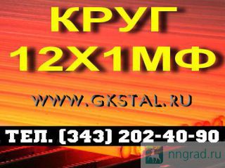  121  12-300.   .  