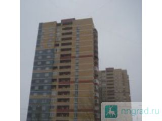 ���� 2-� ����. ��������� �������, 11/17��. ����� ���, ����� ������, ��� ������� �������, ����������� ������ ��������