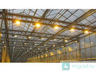 ��������.���������������� ������ ����� ��������� ������ �������� � �������