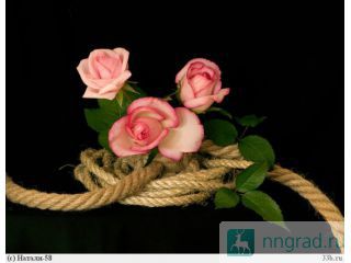 �����, �������, ���� ����� �� ���������� ���������