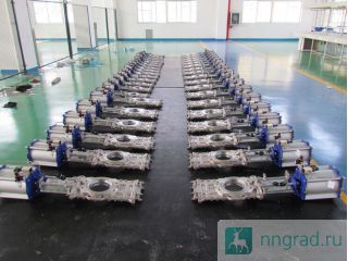    /       WENZHOU