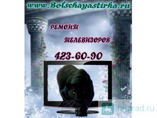   ,DVD, , , .   