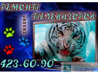   ,DVD, , , .   