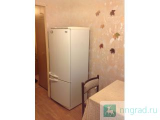 ����: ������� ��. ���������, ������� � 2-� ����. ��������, 4/9��. ������� �������������, ������, ��� ������ ��������