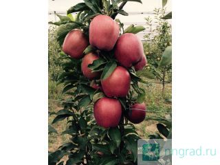 Agrologistics         2015 .  