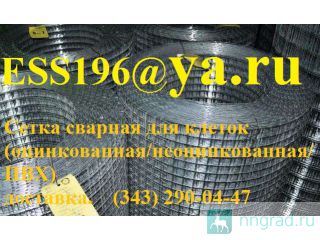   80  6613-86    