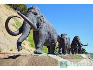 ���������� � ������������ ������ ������ ��������