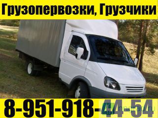   .   +7-951-918-44-54  