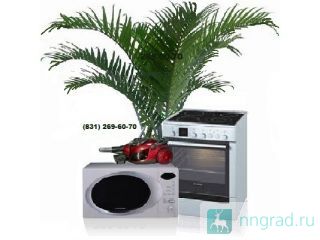 :    Ariston   ,         