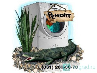 �����������: ������ ���������� �����, ��������, ������� �����, ����� � ������� ������ ��������