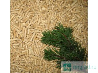 ������� ������� ������. �������� ���������� �� ������ � �������. ������ ��������