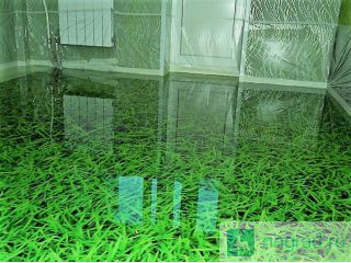     Parquet Marinin  