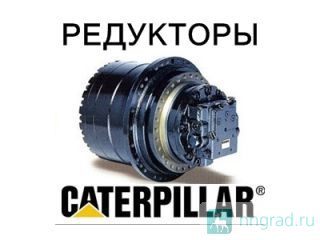  ,    CAT  