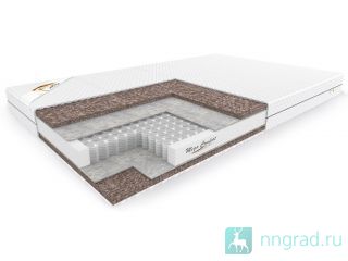  Spring Bi Cocos Econom/      -