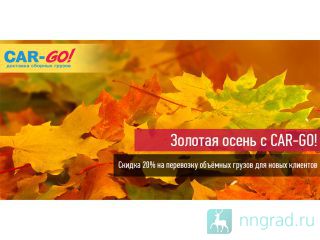    CAR-GO (  )  