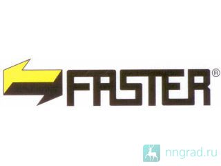      FASTER, TEMA     RECTUS  