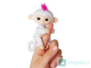    Happy Monkey  
