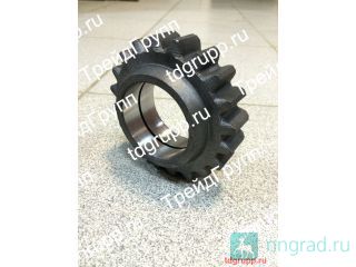 05-4202018-01   (20 .)  