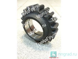 05-4202018-01   (22 .)  