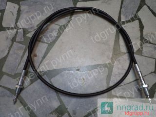    CD2000  