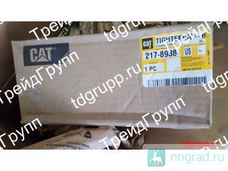 217-8938   CAT C18  