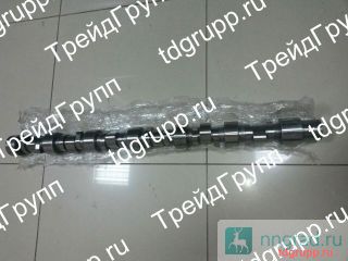 344-9038  CAT  
