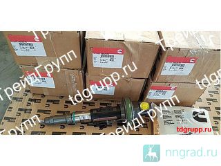 2882079   Cummins QSK19  