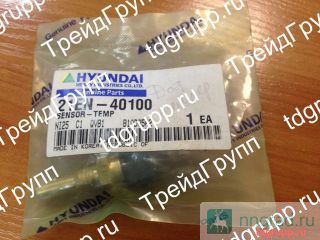 21EN-40100   Hyundai  