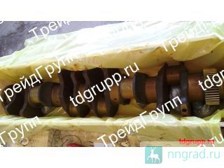 160-8147  CAT  