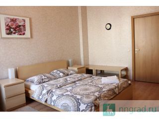 ���� �� ���� � ����� 1-��������� �������� �� ��������� ������, 40 ������ ��������