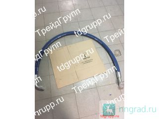 9W-3702  CAT  