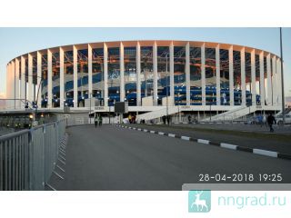 ������ ����/ ����� / ������ / ����, ������, 2- ����. �������� ��������� ������� 8/12��. ������ ���� ������ ��������