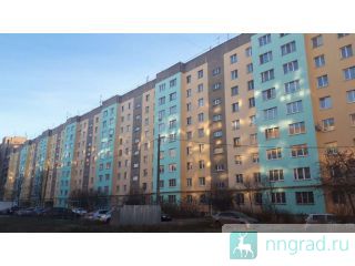 ������ ����/ ����� / ������ / ����, ������, 1- ����. �������� ��. ��������, ����� ���, 5/10��.  ������ ��������