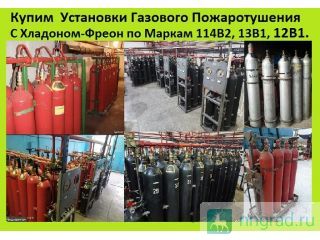  e-e oe cao ao opoe  Xoo 1142, 131, 121, 113,   