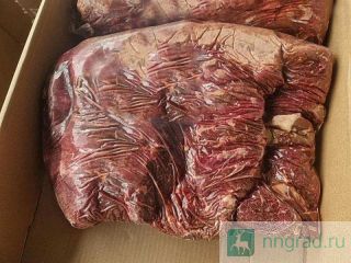 ���� ��������, �������, ����� ���, ������������ ������ ��������