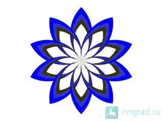 ������ ������� ���� ����� ������ ��������