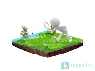 ������������������ ���������� �� ������������ �����������