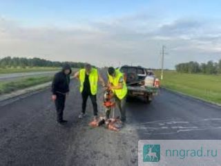 ������ ��������� ������������� ����� �� ������������ �����������