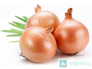 ������ ����� � ������ ����� � � ������� � �������� �� ���������� � �����! ����