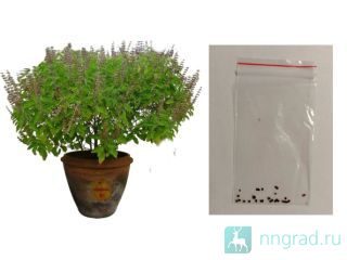 ������ ������, � ��������, ��� ����������� ����. ������