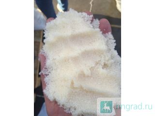 �������� ����� �������� ������� �/� ����� �������������  ������ ��������