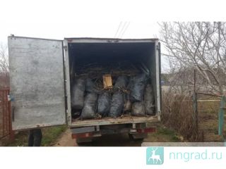 ����� ������ ���� � ������ ������ ��������